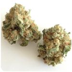 Шишки "White Widow" (Белая вдова) Гидропоника - Бошка VHQ в Дальнегорске Шишки "White Widow" (Белая вдова) Гидропоника - Бошка VHQ в Дальнегорске