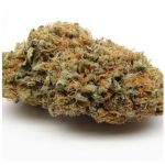 Шишки AK47 (Гидропоника, Бошка) VHQ в Дальнегорске Шишки AK47 (Гидропоника, Бошка) VHQ в Дальнегорске