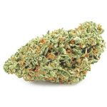 Шишки OG Kush (Гидропоника, бошки) VHQ в Дальнегорске Шишки OG Kush (Гидропоника, бошки) VHQ в Дальнегорске
